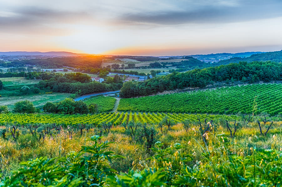 Paty Wine Village Tour with Tastings from Budapest  Image
