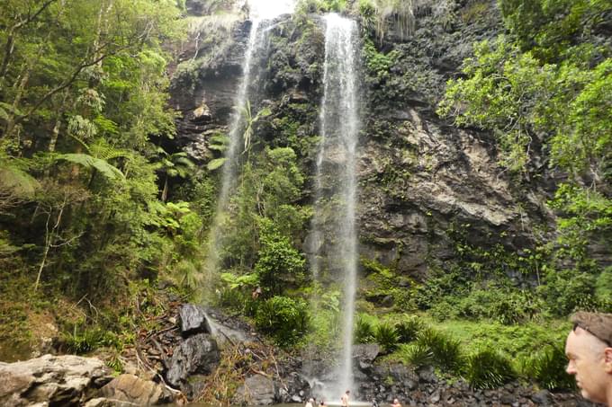 Springbrook National Park Walks