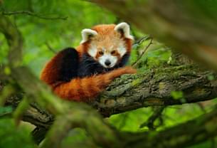 AquaZoo Leeuwarden Tickets, Netherlands