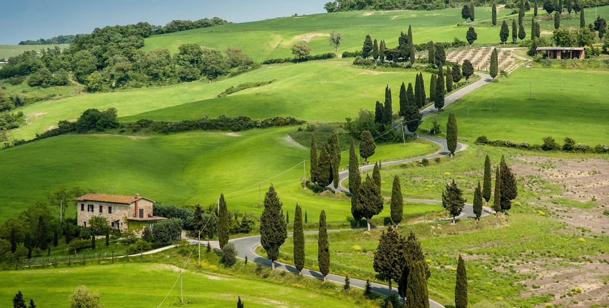 Soak up the Tuscan countryside on our wine tasting tour