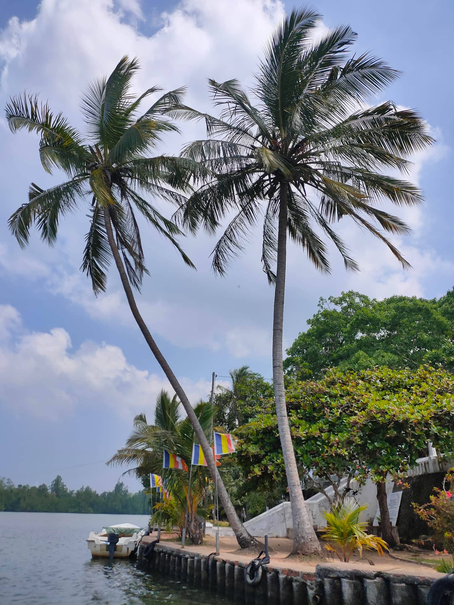 Photo from Arjun Agarwal's trip