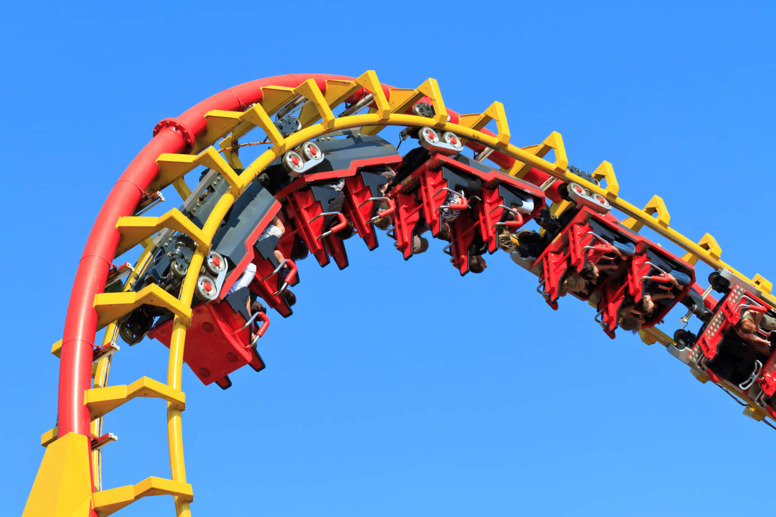 Rides For Adults