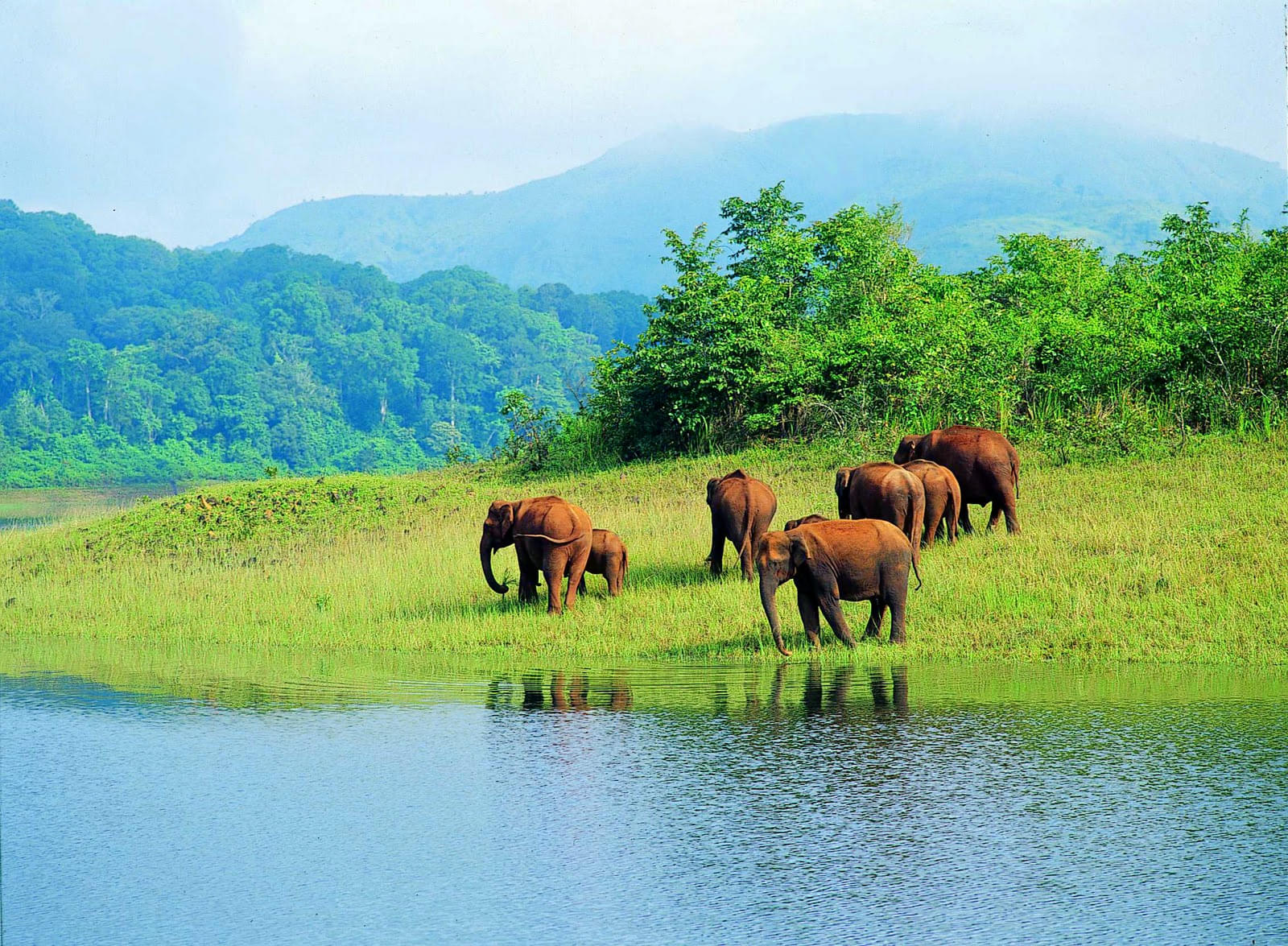 Kasu Brahmananda Reddy National Park