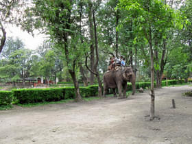 1ttx5wjgmf7a7ymiv9fmeu07a0tw 5086465176 89be811bfc b