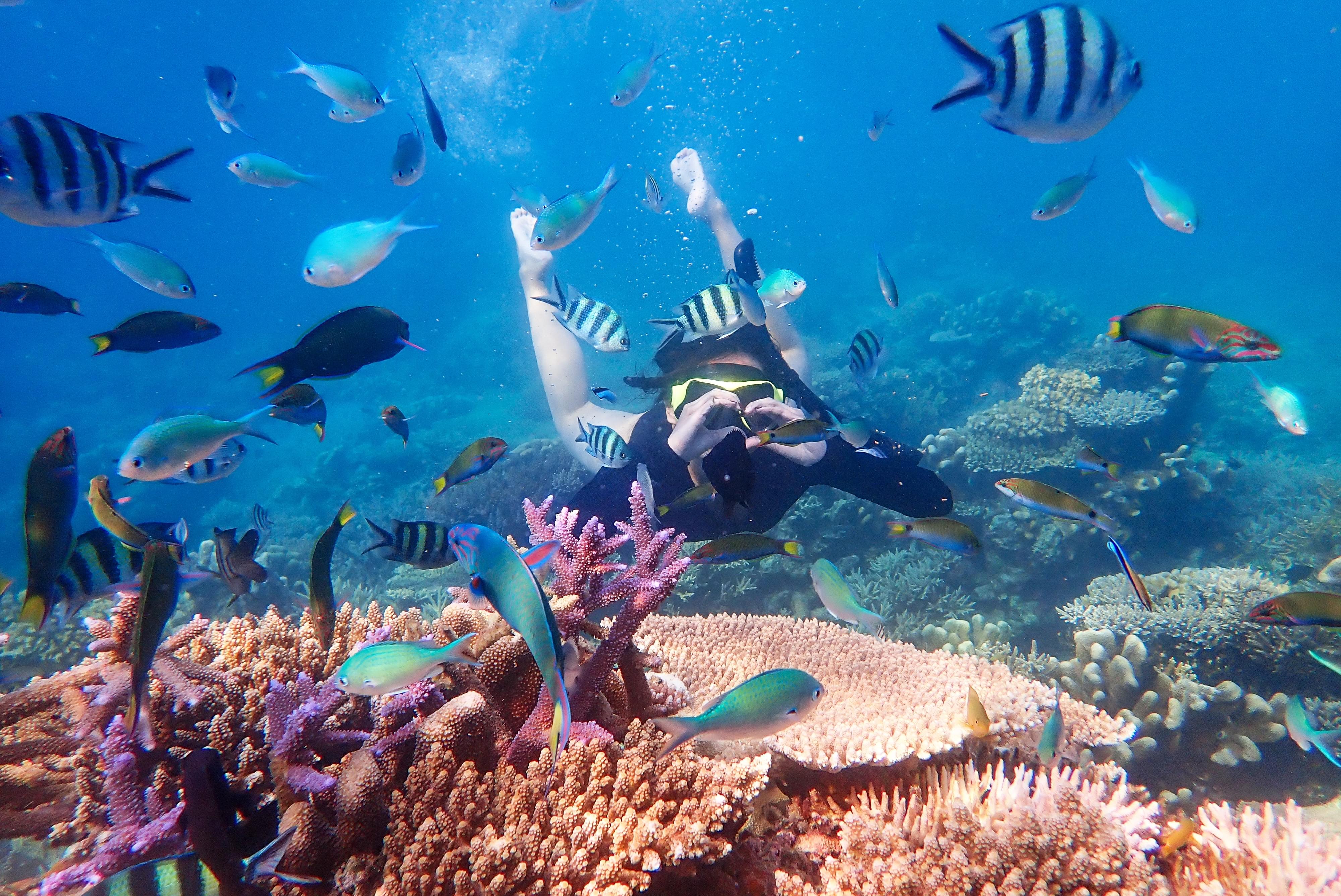 Snorkeling in Neil Island