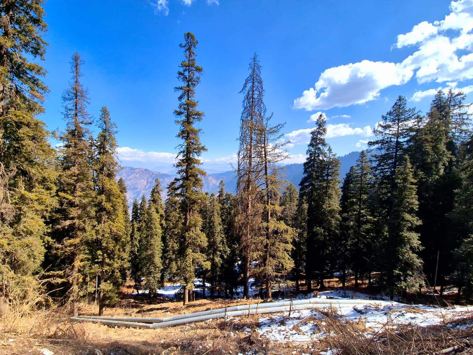 Photo from Devsmita 's trip