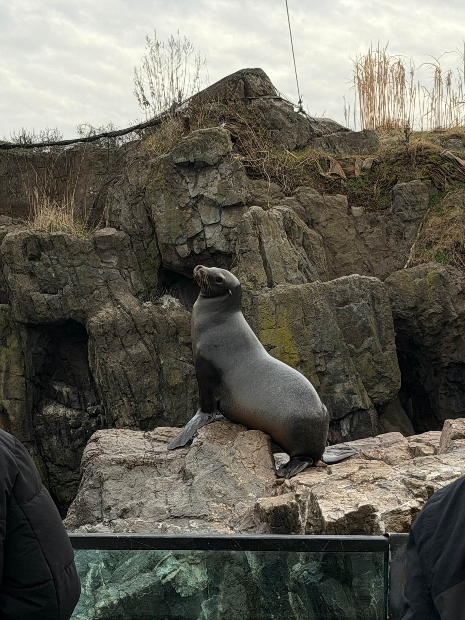 Photo from Dahianara R's trip