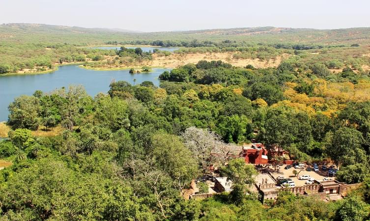 Aerial view of the resort 