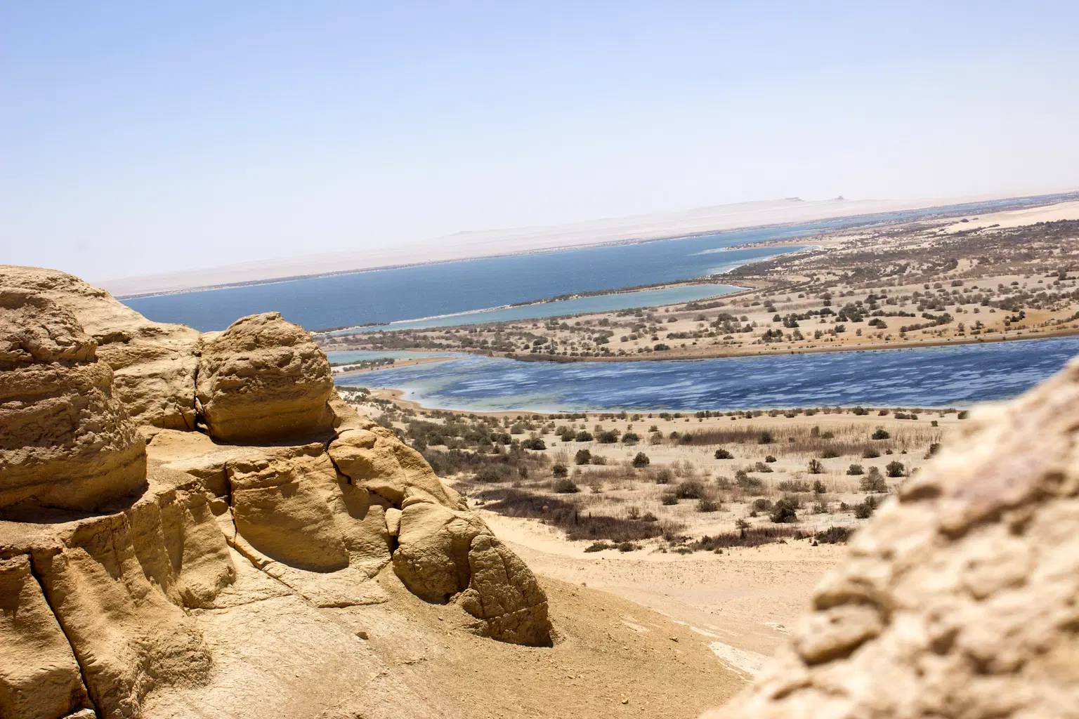 Explore the Wadi El Rayan Reserve