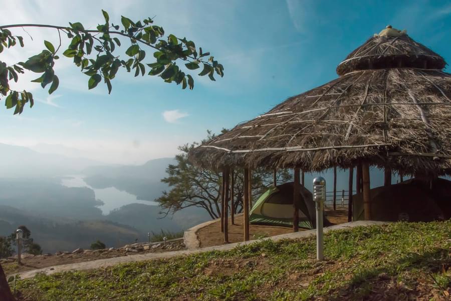 Luxury Camping in Munnar Image