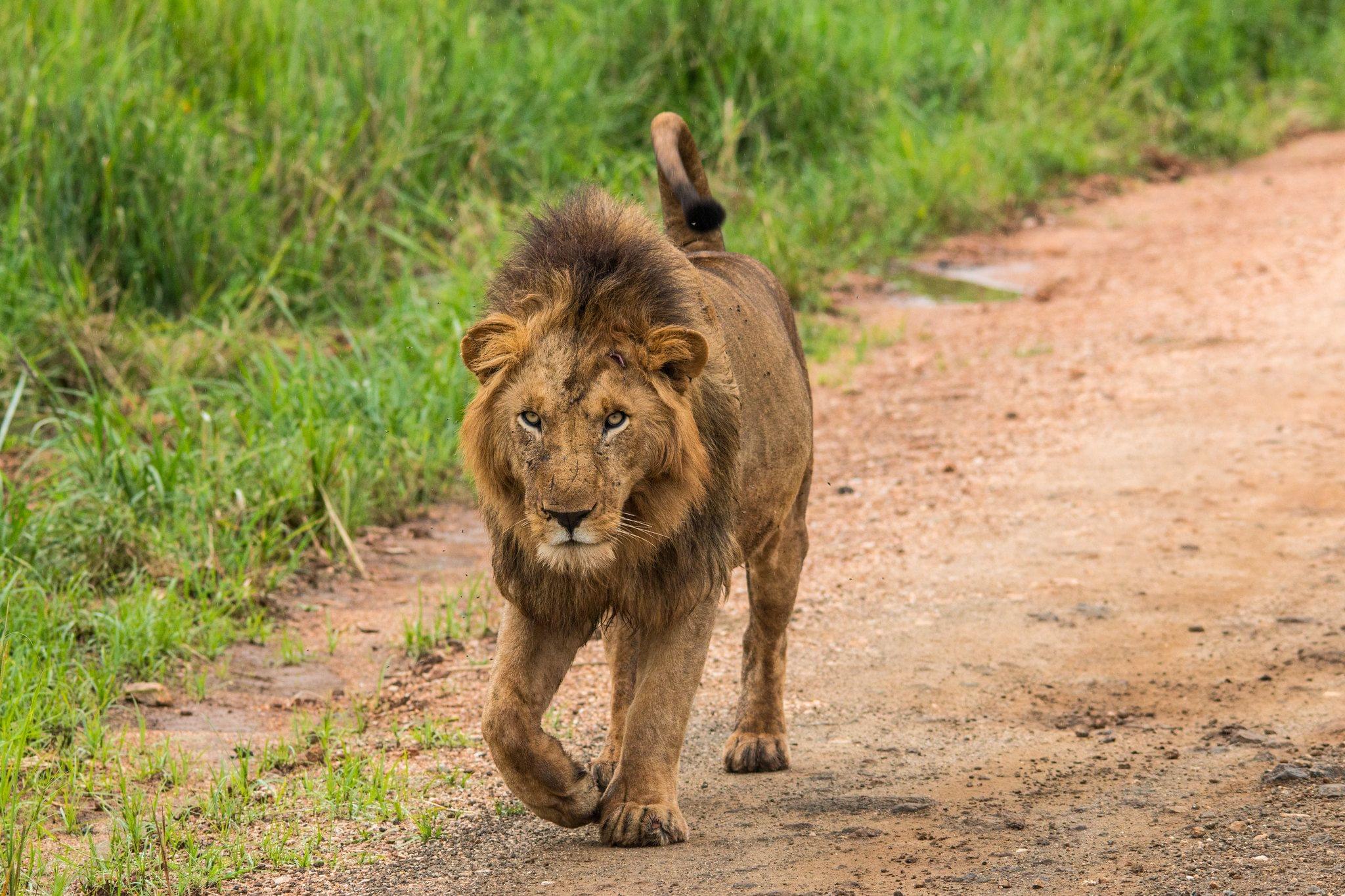 Kidepo Valley National Park.jpg