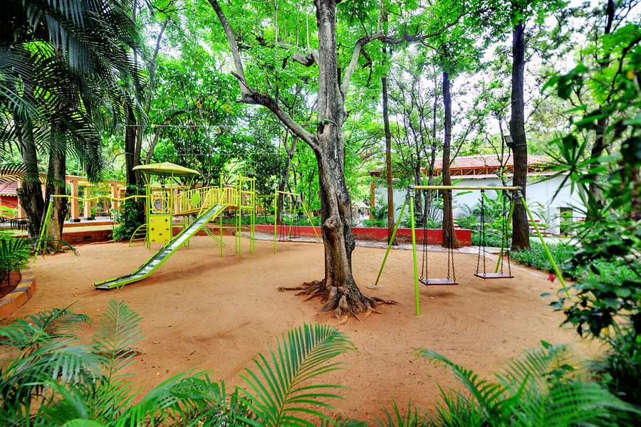 Gold Coin Resort Day Out Image