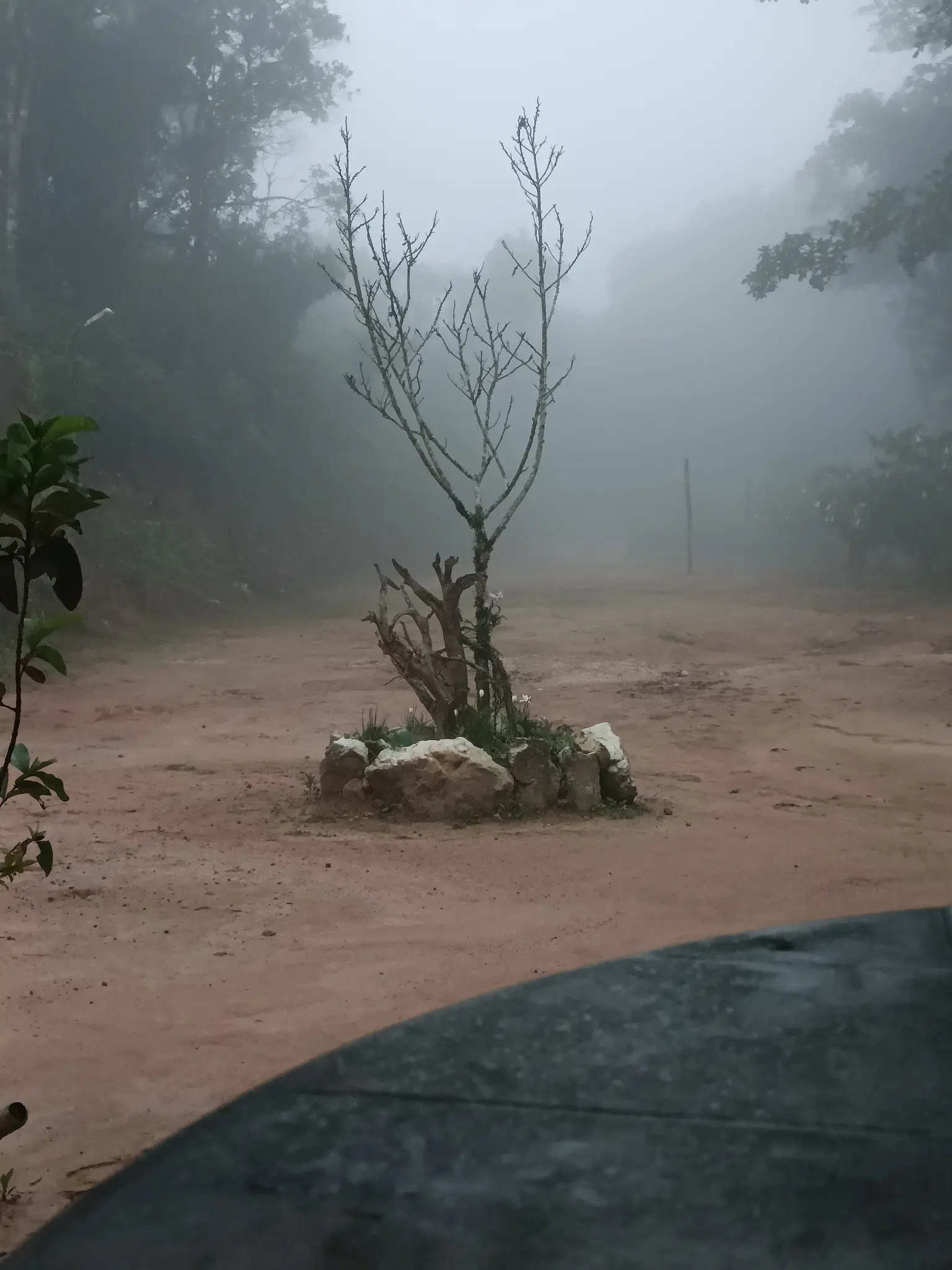 Photo from avinash avi's trip