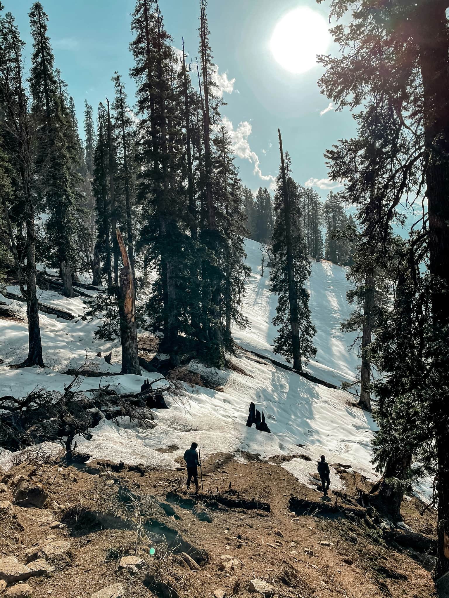 Easy Treks in Shimla