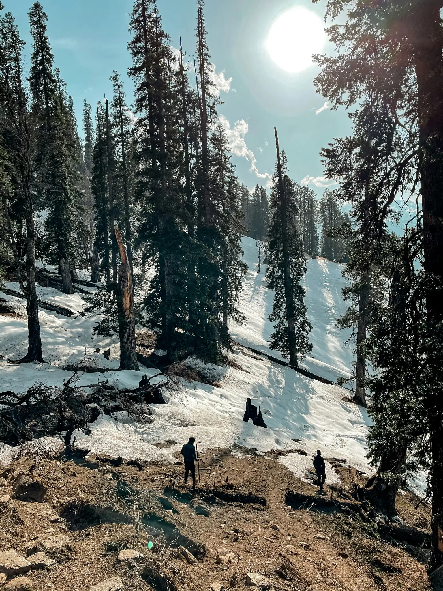 Easy Treks in Shimla