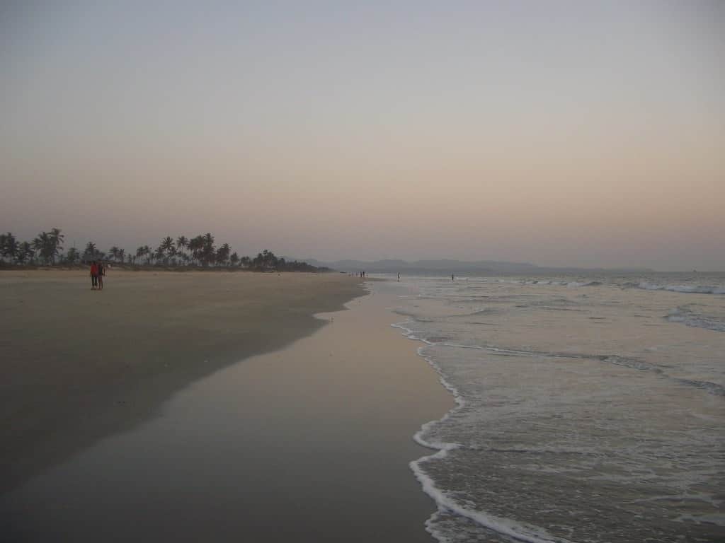 Swim in the Calm Waters