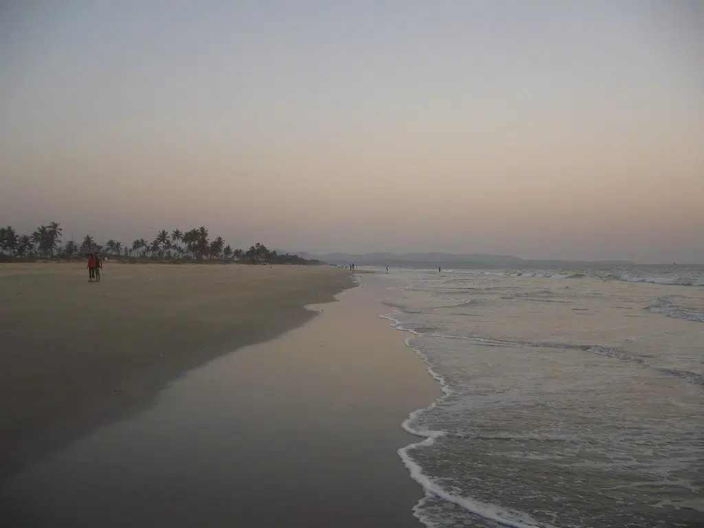 Swim in the Calm Waters