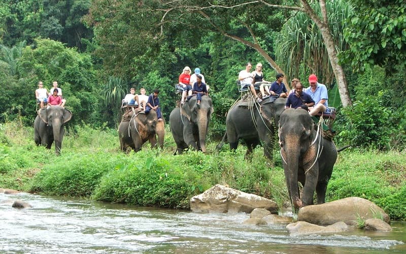 Bamboo Rafting Phang Nga Image
