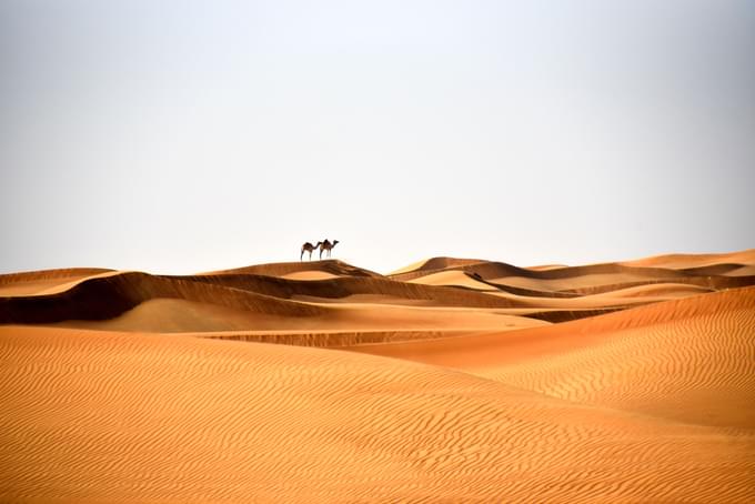 Dune Bashing Dubai