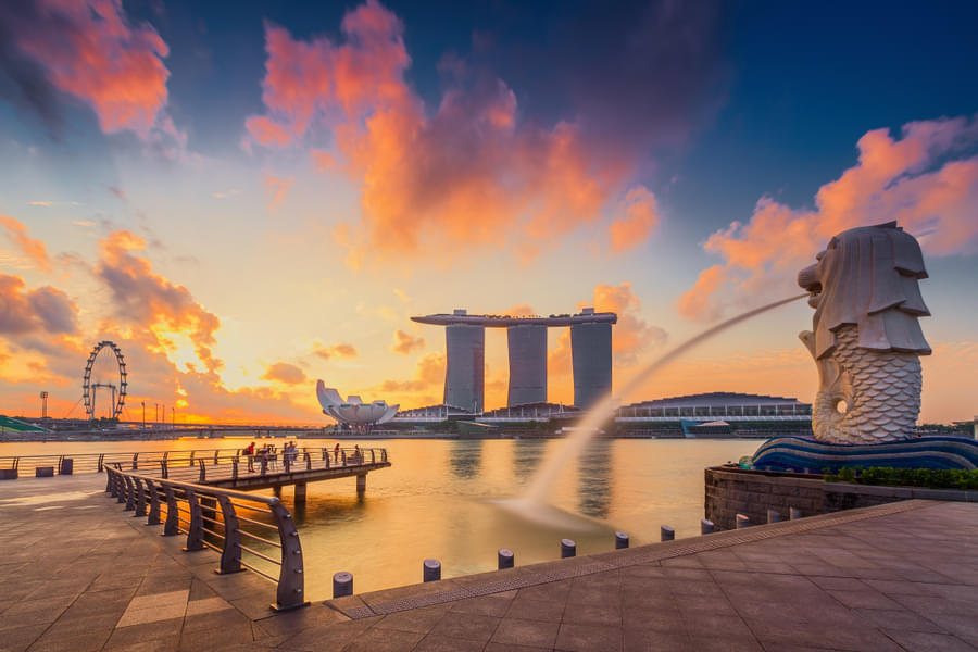 An Odyssey To Singapore with Night Safari Image