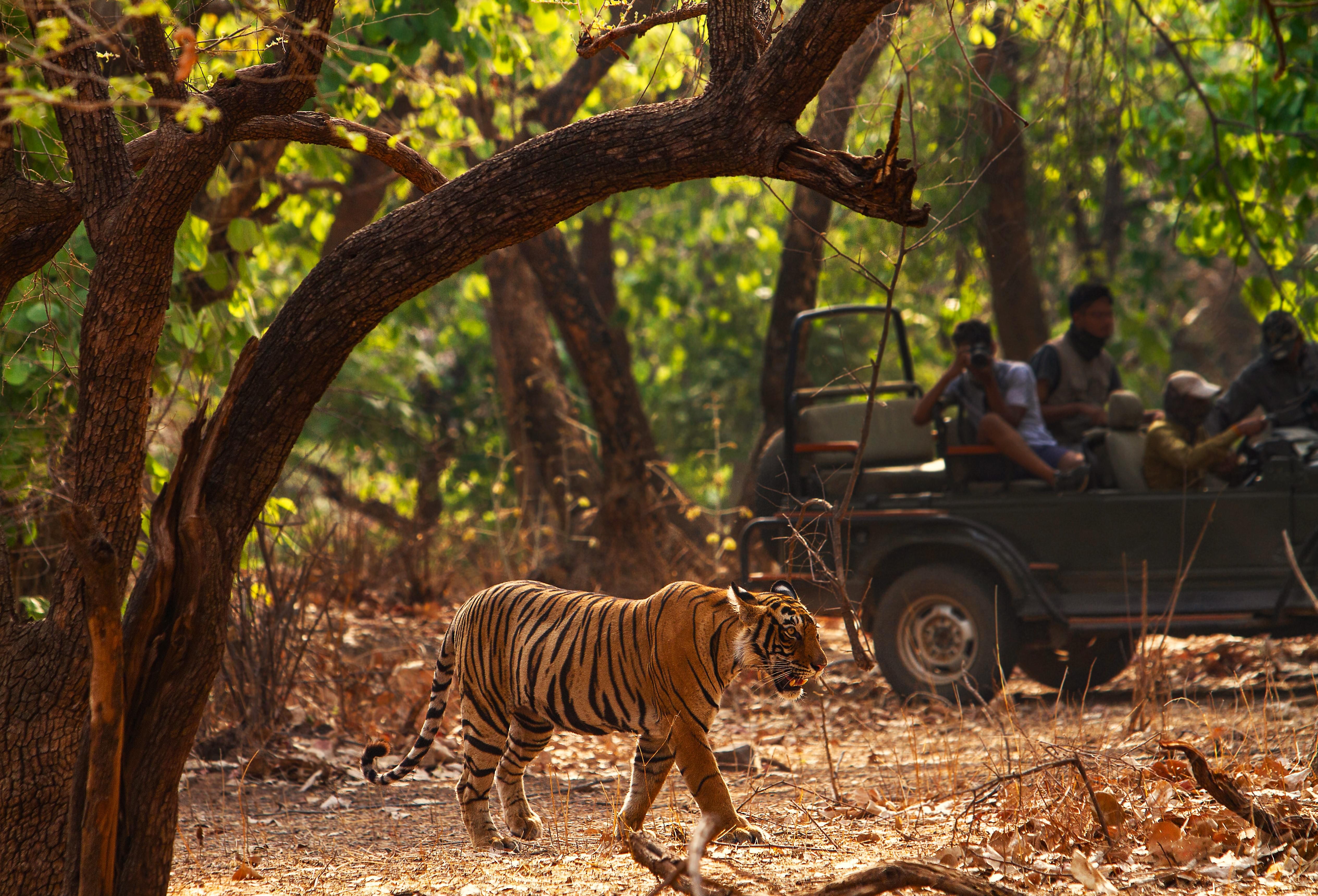 Jim Corbett, Uttarakhand