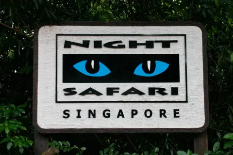 Activity & SightSeeing Image