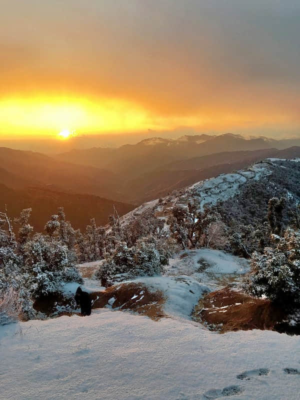 Photo from Bhanumati Bhattathiri's trip