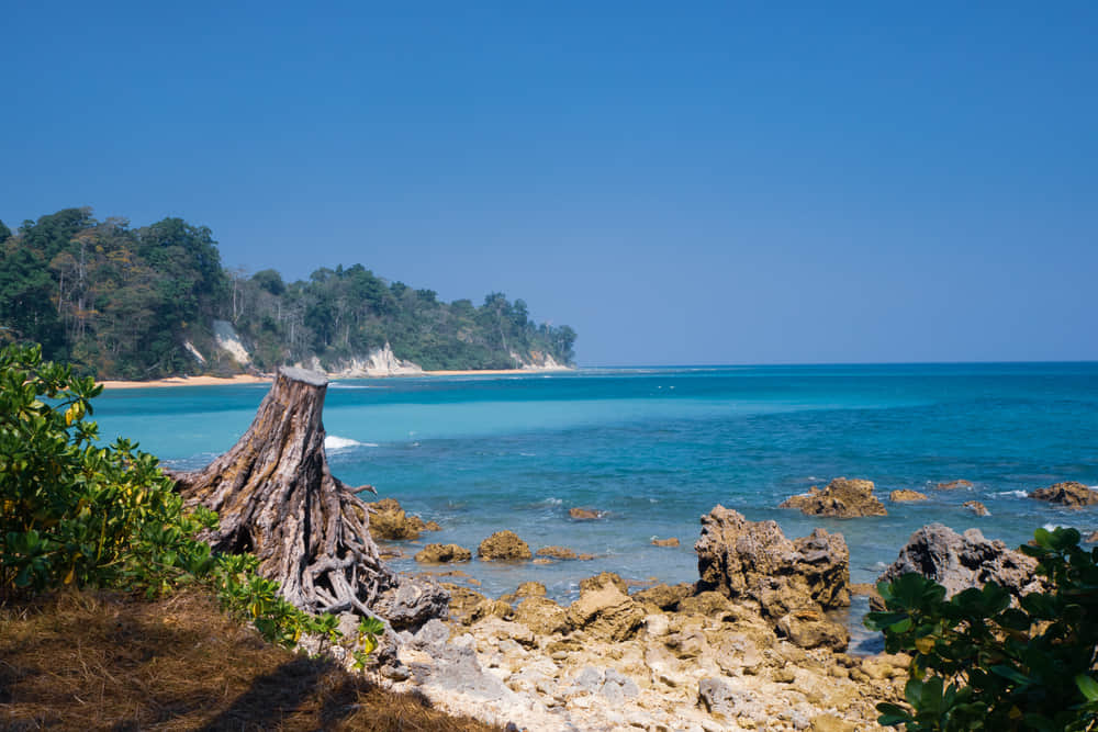 Places to Visit in Neil Island