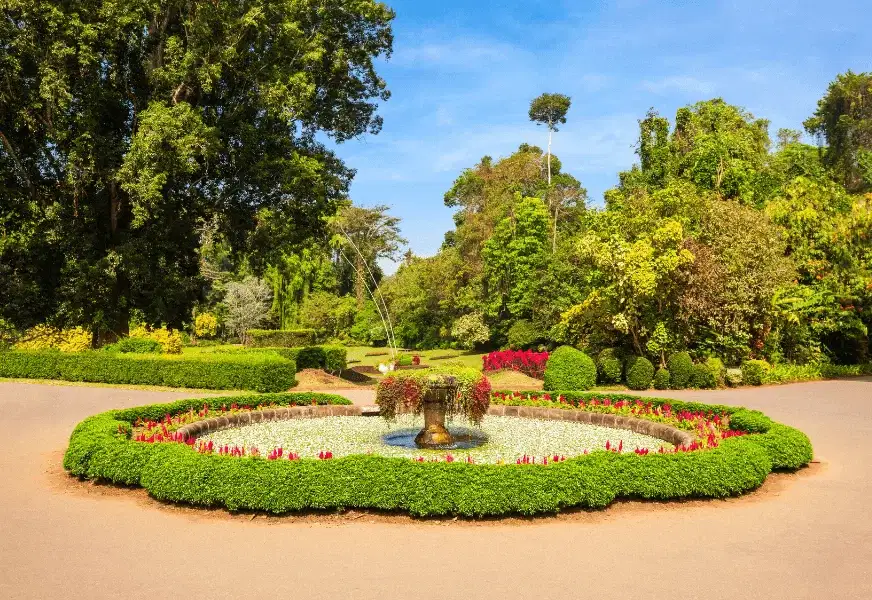 Royal Botanic Gardens, Peradeniya