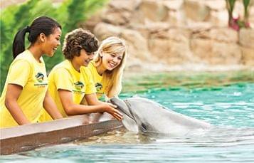 Seaworld Orlando