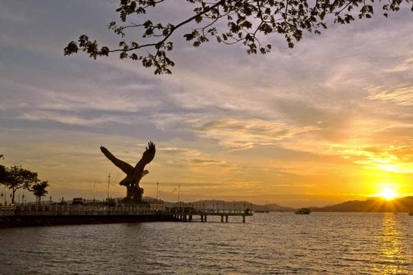 Sunset Mangrove Cruise Experience in Langkawi Image