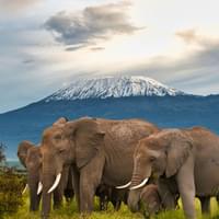 experience-kenya-over-9-days