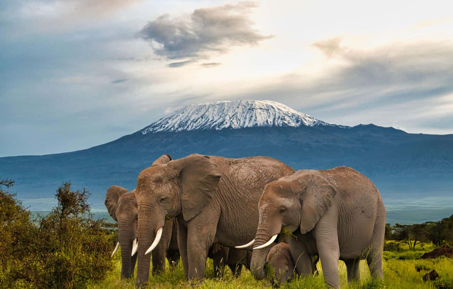 Grand Kenya Safari Adventure | Discover the Heart of the Wild