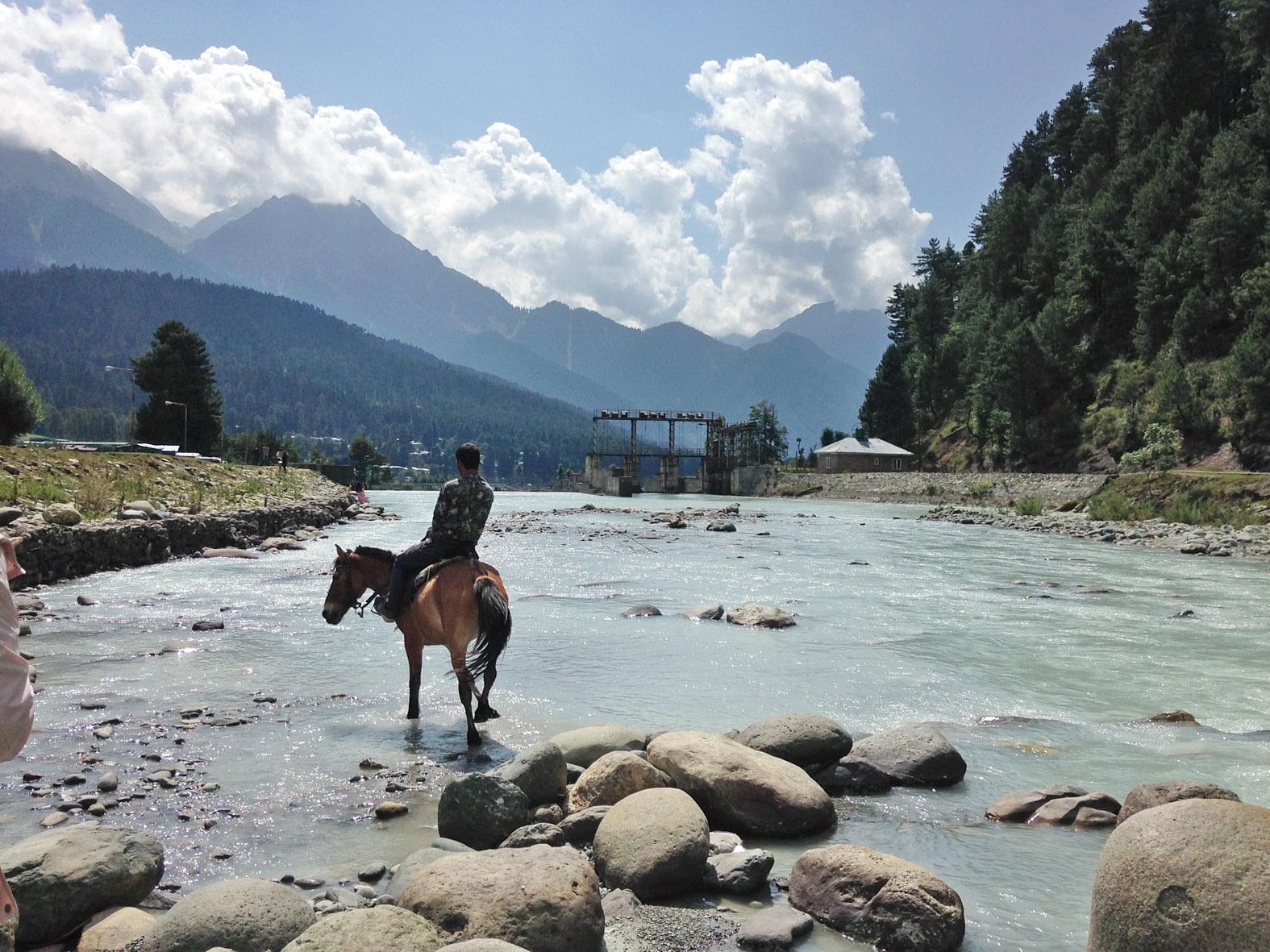 Enjoy a Horse Ride