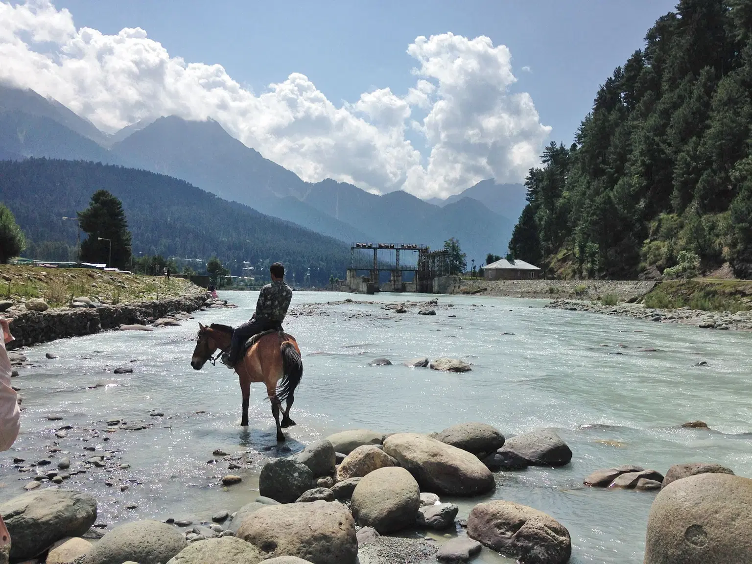 Enjoy a Horse Ride