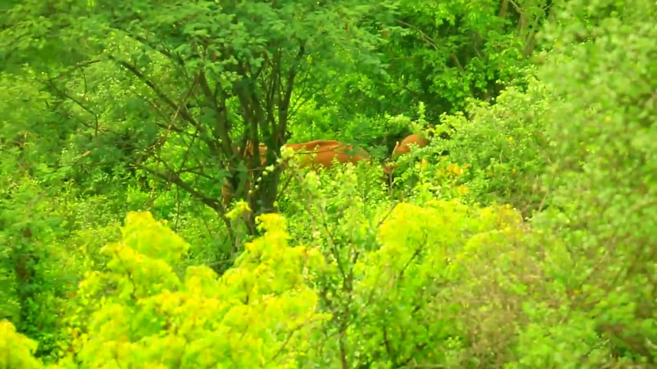 Photo from Chandraketu Bharadwaj's trip