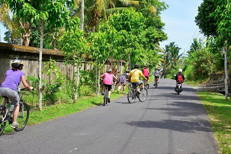 Cycling Tour In Bali Image