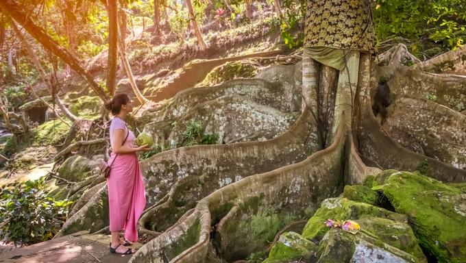 Beautiful Cave of Goa Gajah