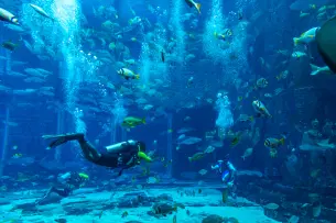 See the magnificent 11 Million Litre Aquarium
