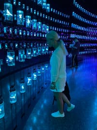 Максим Румянцев