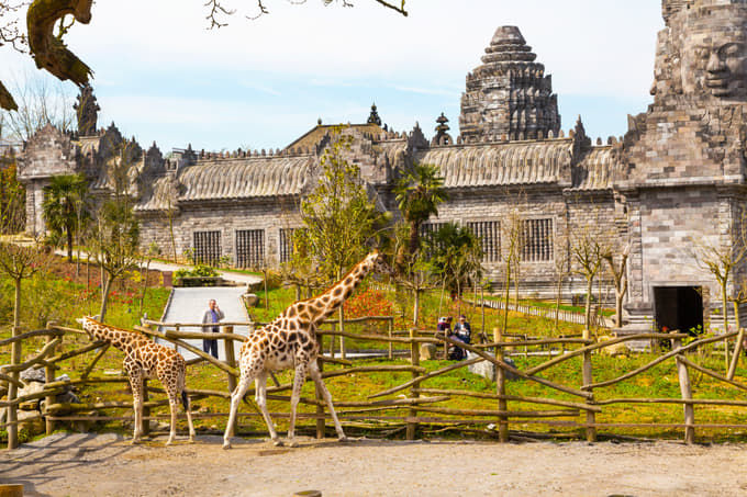 Welcome to the beautiful Pairi Daiza Zoo