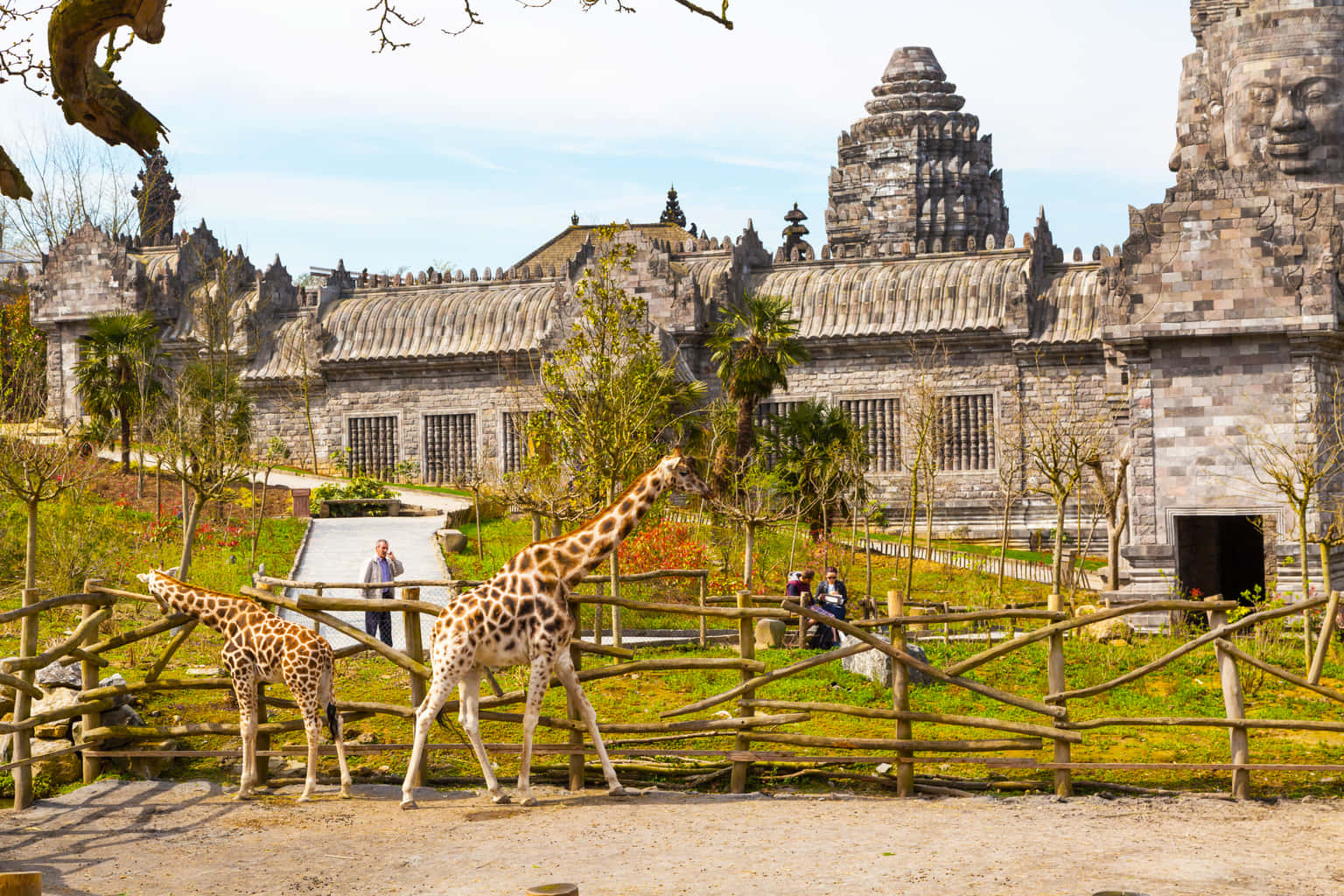 Pairi Daiza, Brugelette | Skip-the-line Admission Tickets