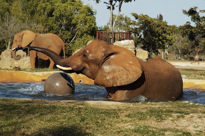 Miami zoo