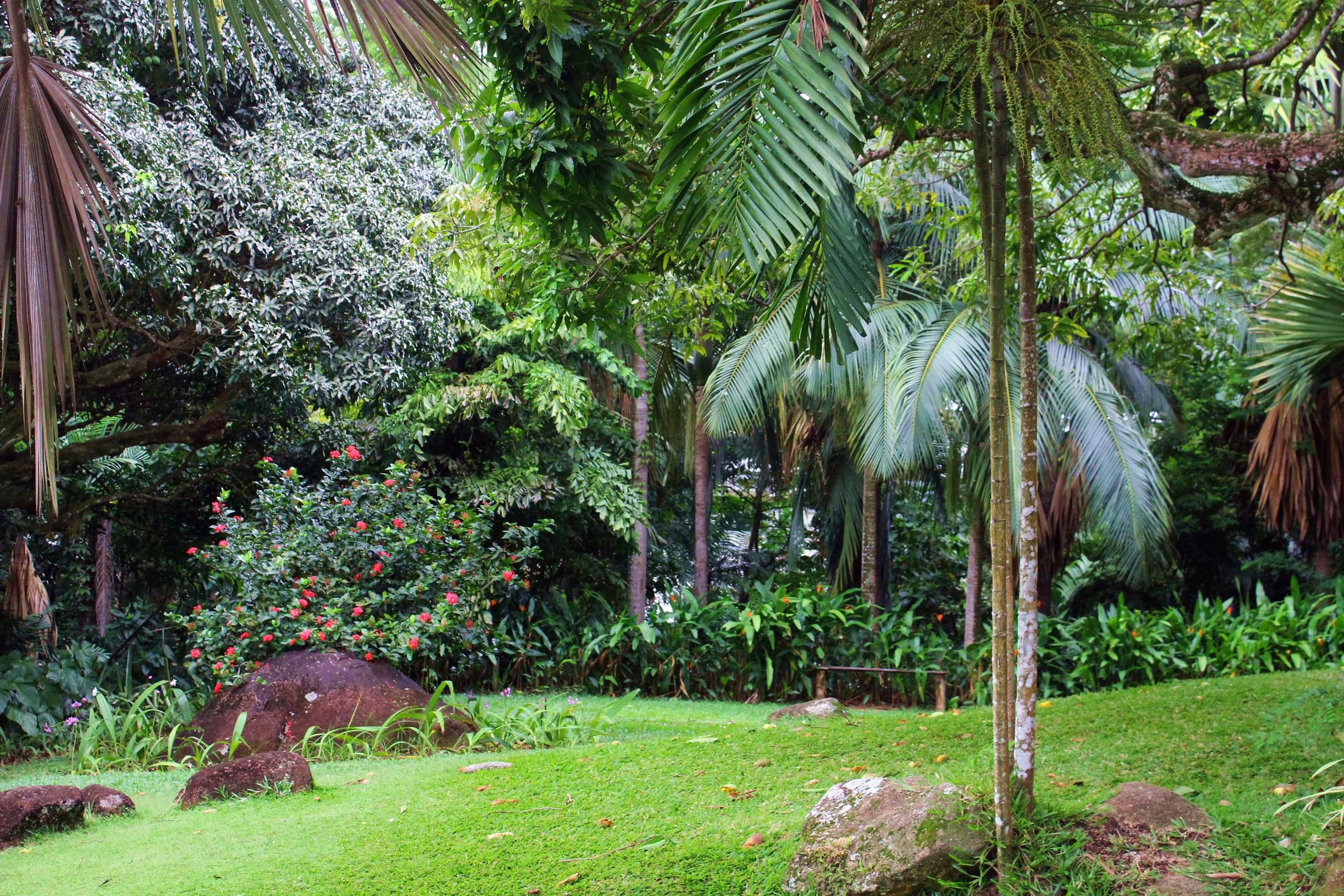 Victoria Botanical Garden Overview