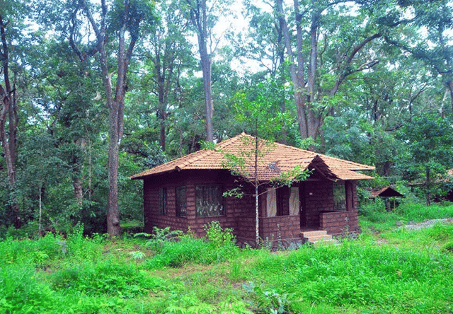 Kadumane Homestay Dandeli Image