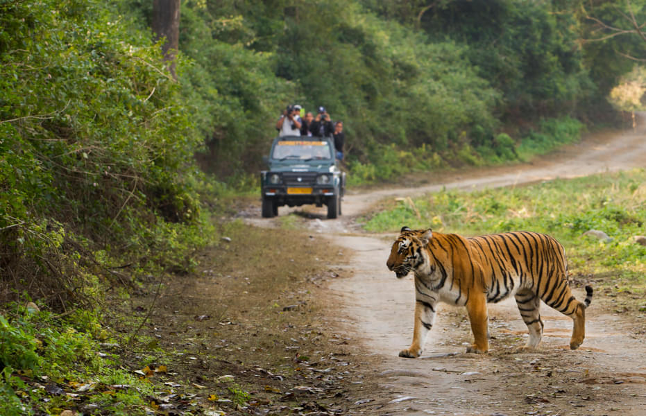 Nainital Corbett Tour Package | New Year Special Image