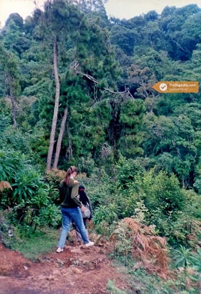 Vattakanal Trekking Image