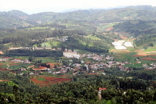 21eycoc4wgt2ilgzcxhj7371ng2t 1588254458 shutterstock 703178254