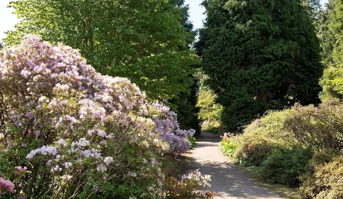 Spring Royal Botanic Garden Edinburgh