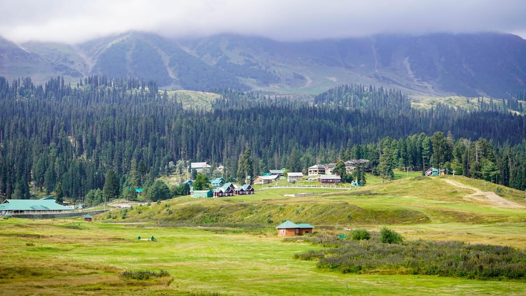 Gulmarg Half Day Sightseeing Tour Image